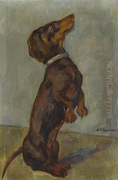 Begging Dachshund - view 1