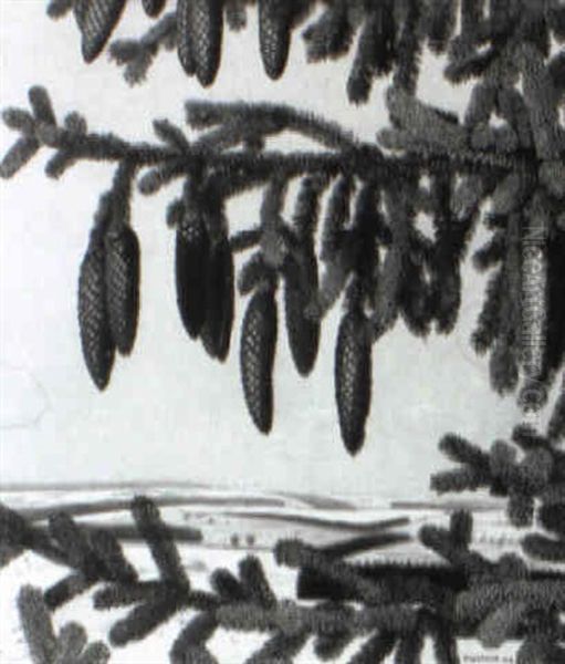 Fichtenzweig Mit Zapfen - view 1