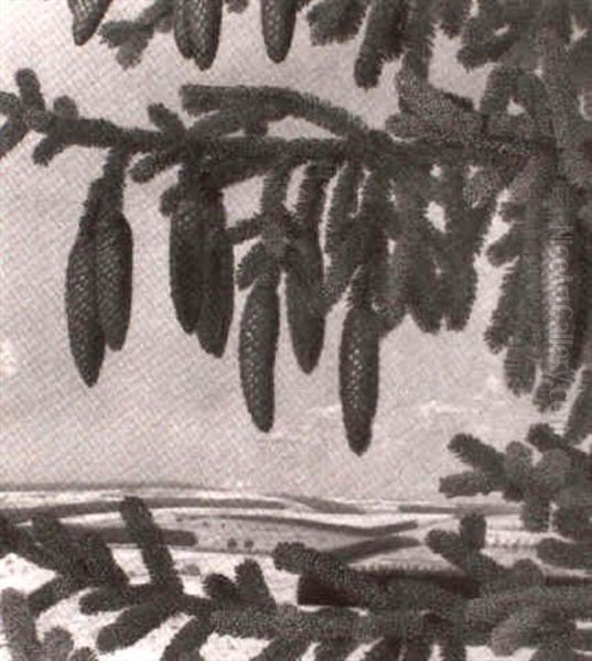Fichte - view 1