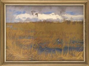 Enten Im Schilf by Friedrich Lissmann