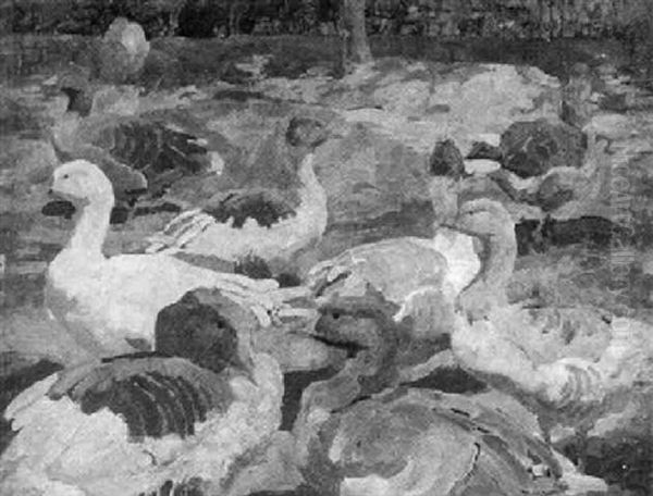 Enten Und Ganse Am Weiher - view 1