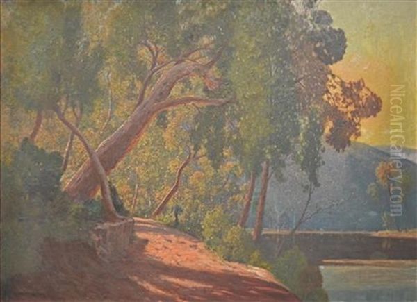 Sunlit Morning, Hawkesbury - view 1