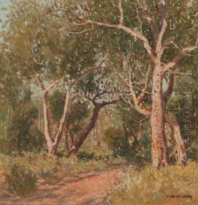 The Silent Bush