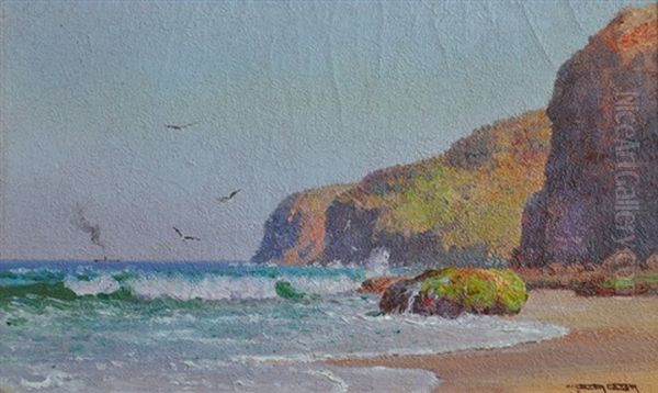 Coast & Waves - view 1