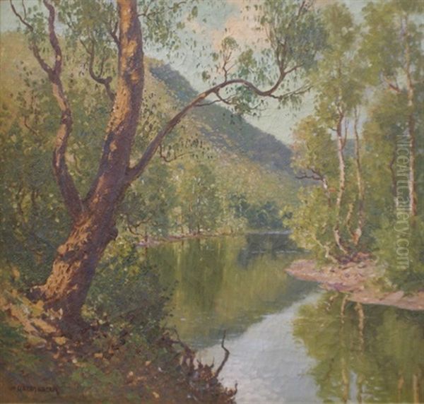 Still Waters, National Park - view 1