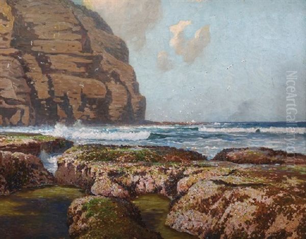 Rocky Coastline - view 1
