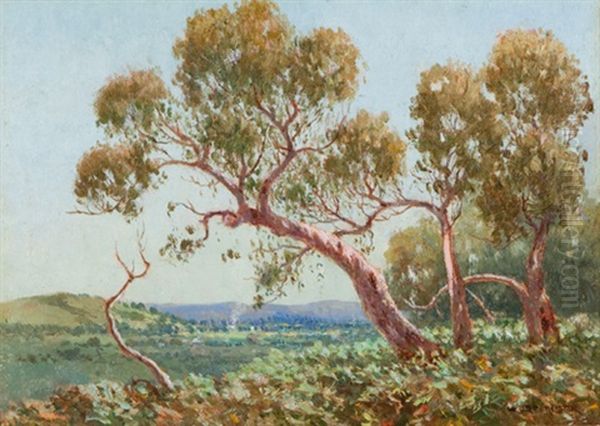 Summer Landscape - view 1
