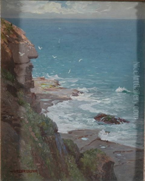South Coast - view 1