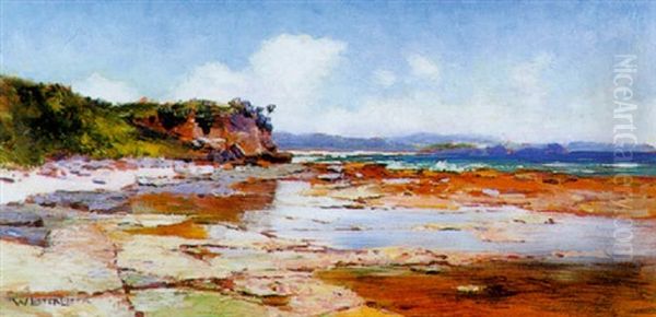 Coastal Scene - view 1