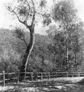 Lady Carrington Drive, Bobbin Head by William Lister-Lister