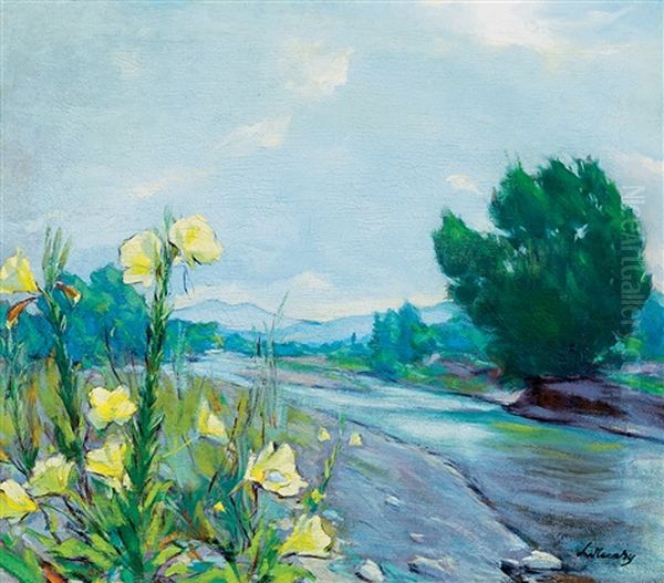 Brooks Side With Flowers In Nagybanya - view 1