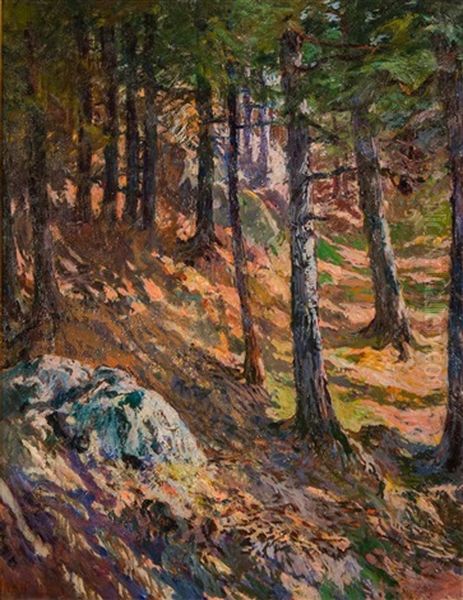Dappled Sun - view 1