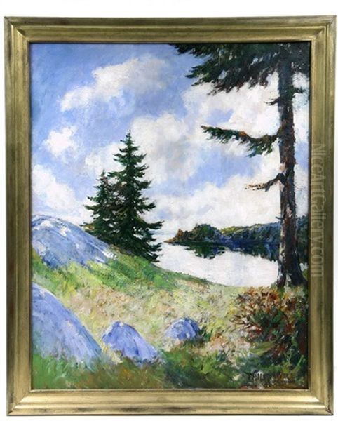 Piney Slope, Macmahan Island, Maine - view 1