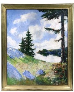 Piney Slope, Macmahan Island, Maine by Philip Little