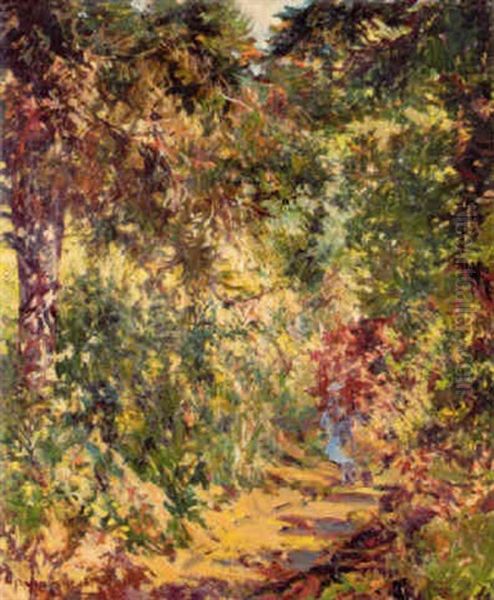 Along The Forest Path - view 1