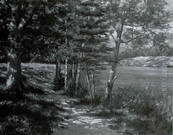 Path By A Lake - view 1