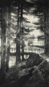 Away Down East - Wooded Cove by Philip Little