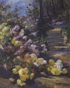 Blumen Am Waldweg Blumen Am Waldweg