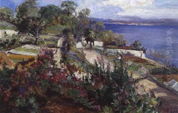 Bluhende Kustenlandschaft - view 1