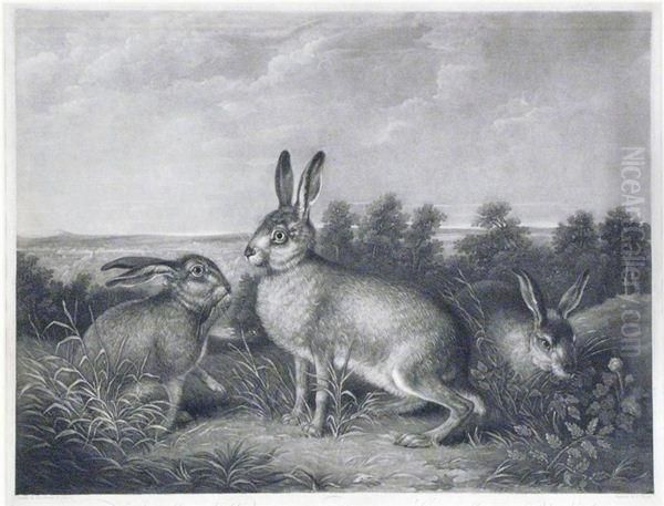 Hares - view 1