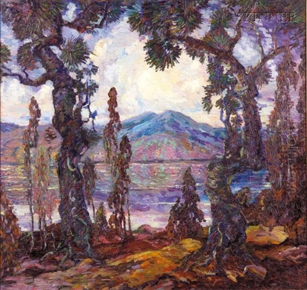 Mountain Lake Through The Pines - view 1