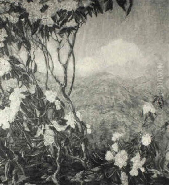 Through The Mountain Laurel - view 1