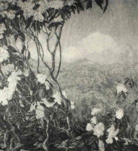 Through The Mountain Laurel Through The Mountain Laurel