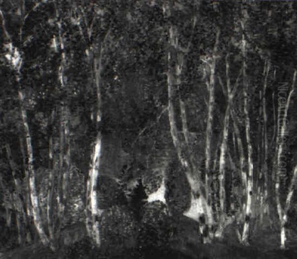 Birch Trees With Pond - view 1