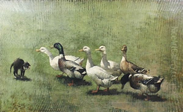 Ducks And Cat - view 1