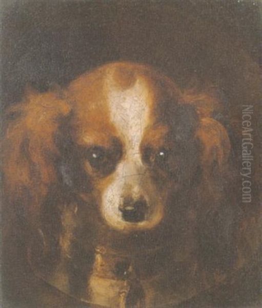 Head Of A King Charles Spaniel - view 1