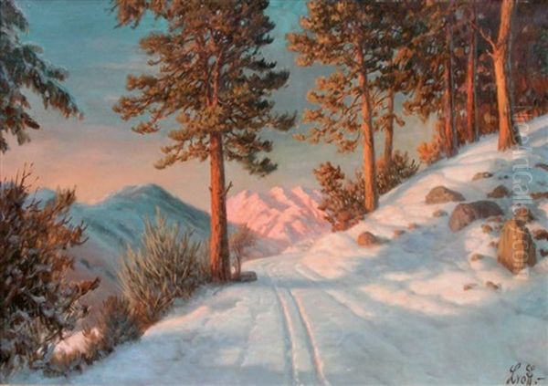 Chemin De Montagne Sous La Neige - view 1