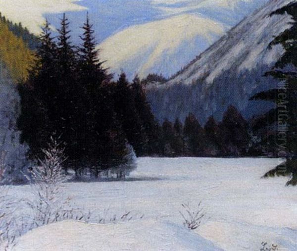 Solitude Hivernale, Paysage De Neige - view 1