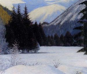 Solitude Hivernale, Paysage De Neige