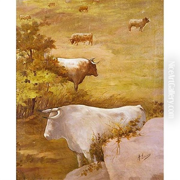 Toros En La Pradera - view 1