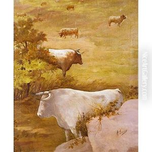 Toros En La Pradera