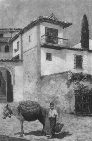 The Donkey Boy - view 1