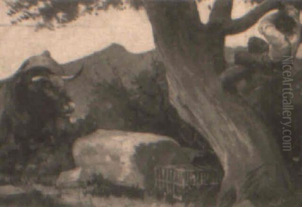 Escapando Del Toro - view 1