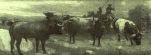 Toros Toros