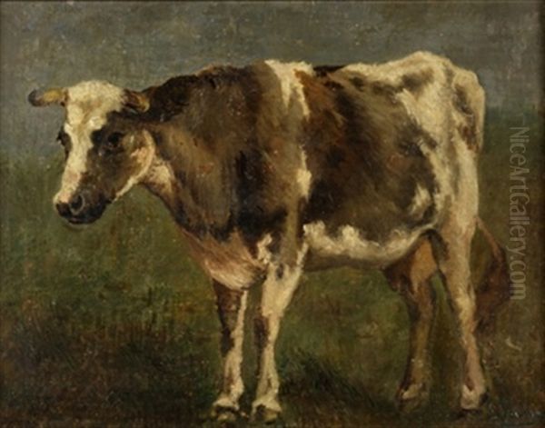 Vaca - view 1