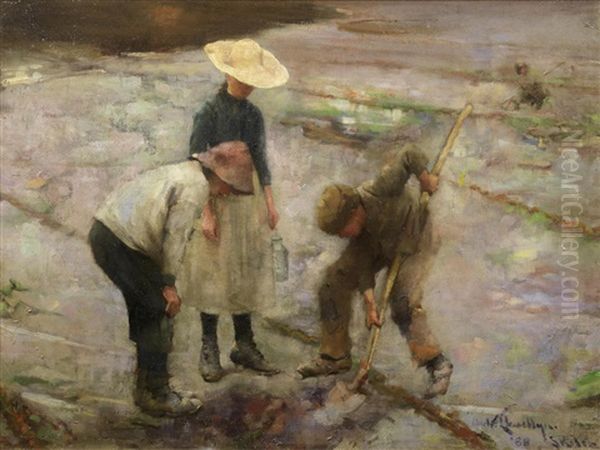 Digging For Bait, Skilly - view 1