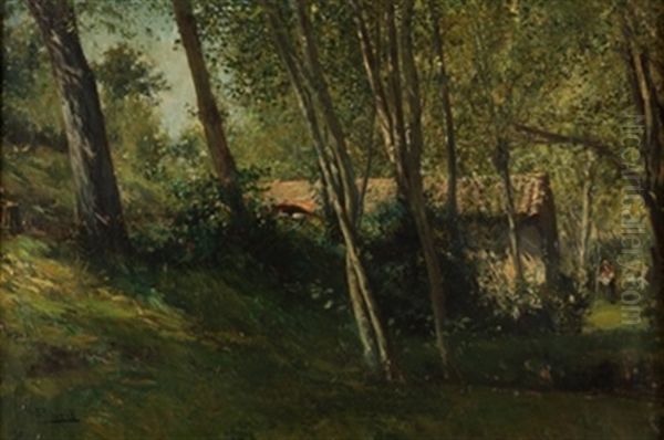 Bosque - view 1