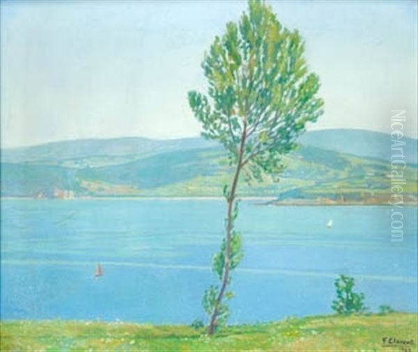 Ria Gallega - view 1