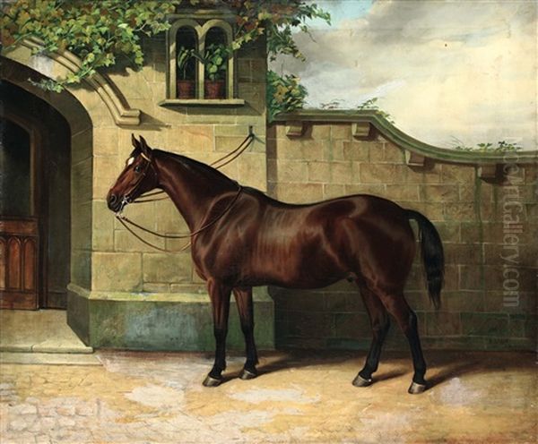 Horse In The Courtyard - view 1