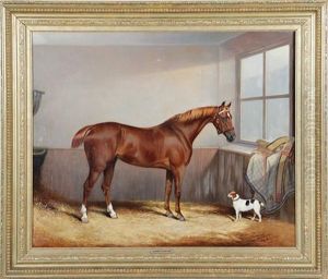 Chestnut Hunter And Dog In A Stable