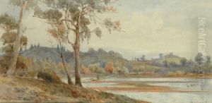 Healesville by Charles S. Bennett