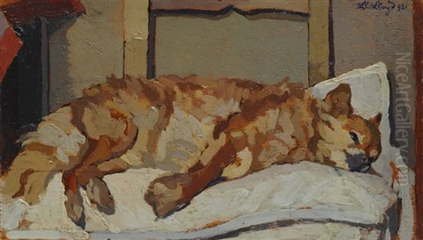 Gatto - view 1