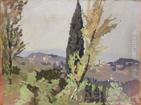 Fiesole Vista Dai Bosconi - view 1
