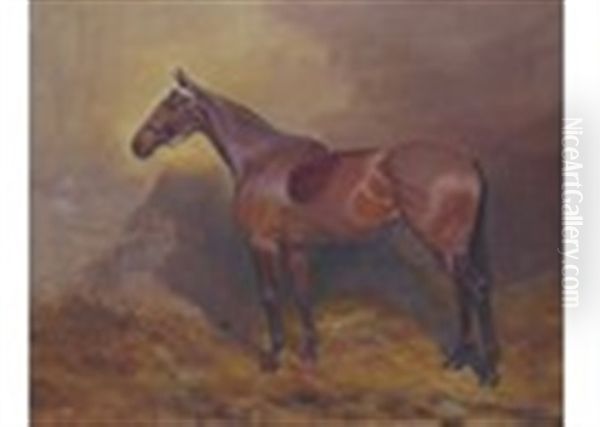 A Grey In A Stable And A Bay Hunter In A Stable (a Pair) - view 1