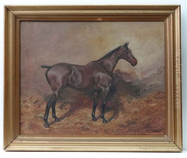 Portrait Of A Bay Hunter Within A Stable - view 1