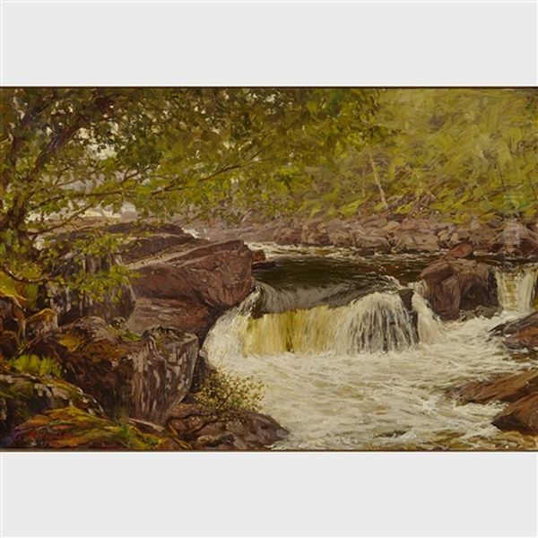 River Rapids In Summer - view 1
